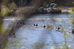 2022_Bericht_Fotos_Ardeche_09